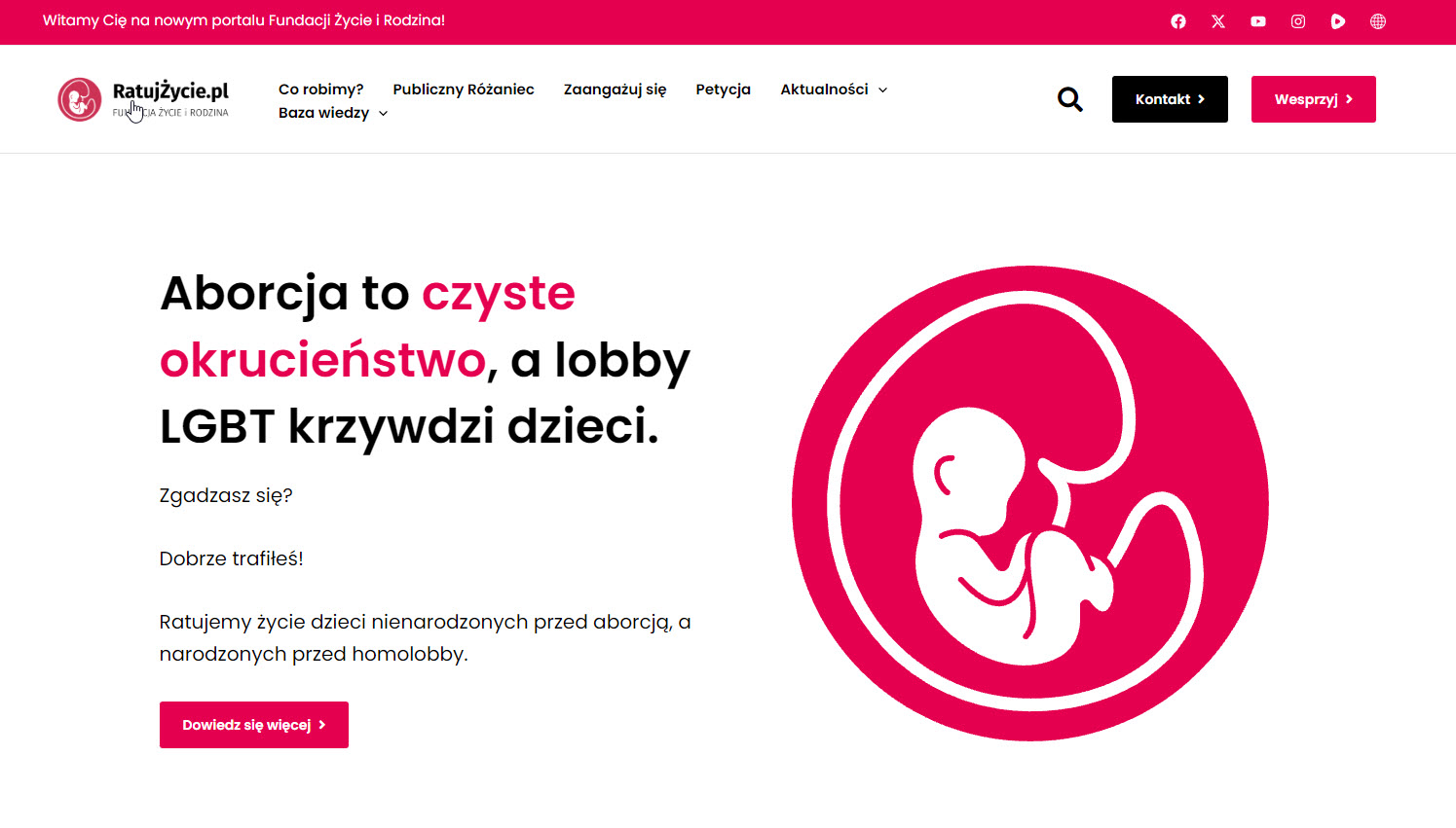Czym zajmują się fundacje pro-life w Polsce?