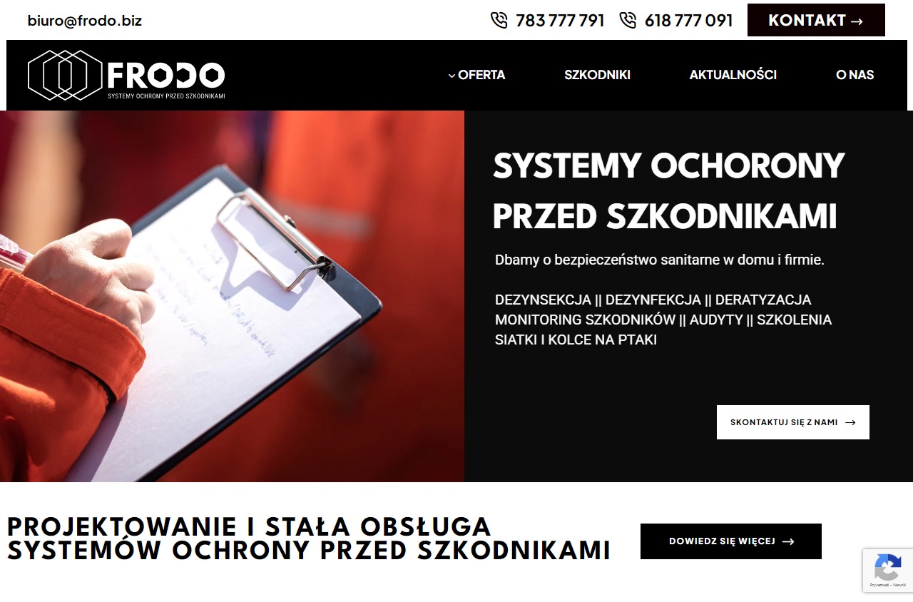Zrzut strony Usługi DDD - Frodo Poznań